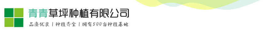 WanWeiZhan.Com 专业的PB模板站